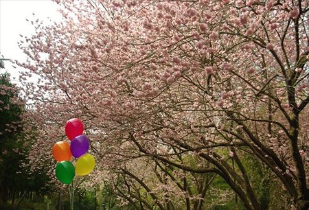 IMGP8402_0321
