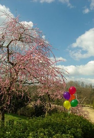 IMGP9007_0322