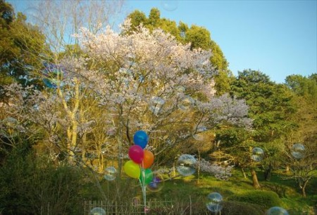 IMGP9860_0322