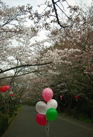 IMGP0235_0329