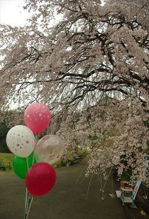 IMGP0384_0329