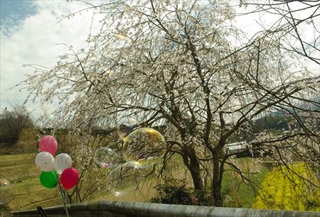 IMGP0540_0329
