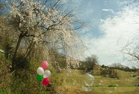 IMGP0565_0329