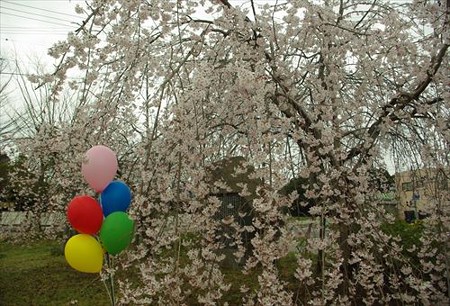 IMGP0802_0329