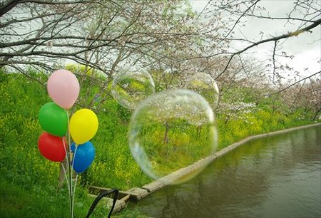 IMGP1452_0330