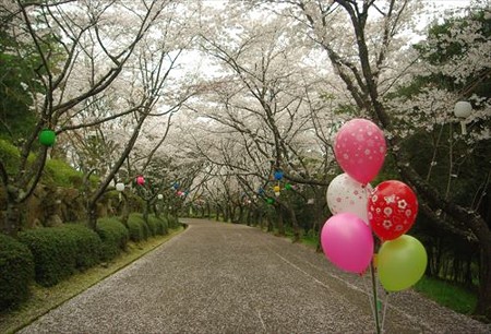 IMGP1658_0405
