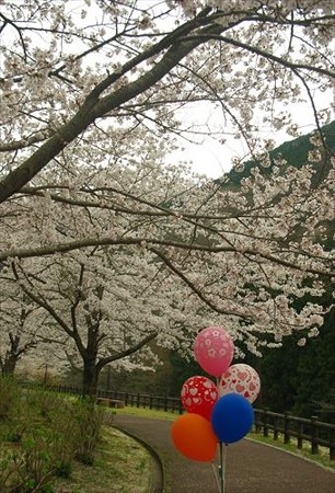 IMGP3310_0412