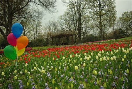 IMGP3787_0412
