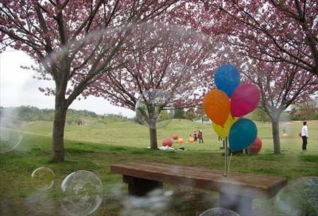 IMGP0274_0420