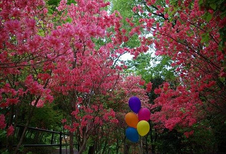 IMGP0312_0429