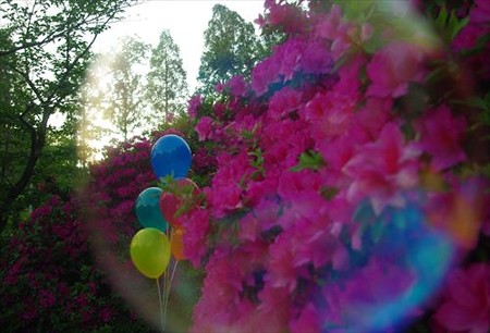 IMGP4776_0503