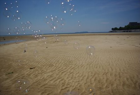 IMGP5108_0504