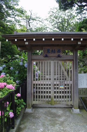 DSC02674