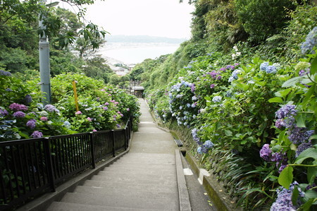 DSC02745