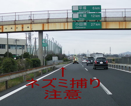 IMGP1092