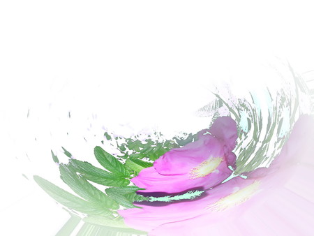 islands of flowers in ニライカナイ-10a
