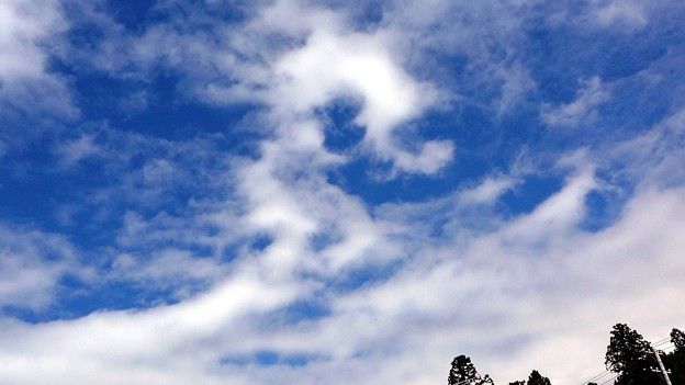 龍の雲 写真共有サイト フォト蔵