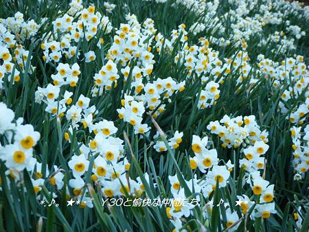 DSCF2467_pa