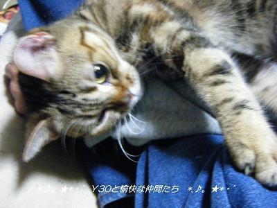 DSCF2650_pa
