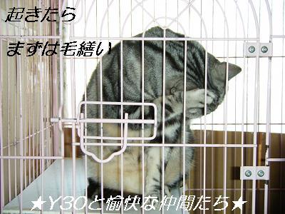 DSCF2765_pa
