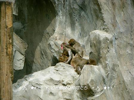 DSCF2828_pa