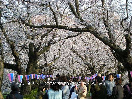 DSCF2953_pa