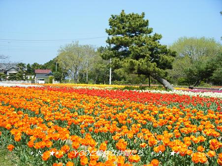 DSCF8085_pa