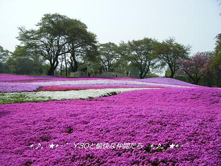 DSCF8197_pa