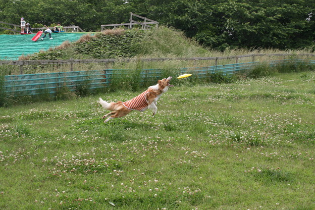 catch！