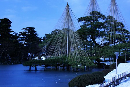 唐崎の松　雪つり