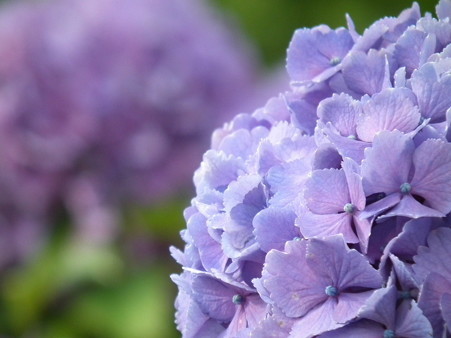 DSCF0272