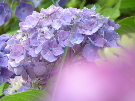 DSCF0290