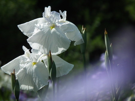 DSCF0272