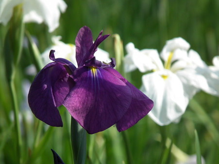 DSCF0315