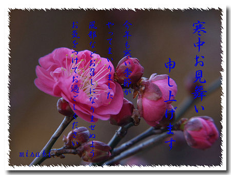 寒中20