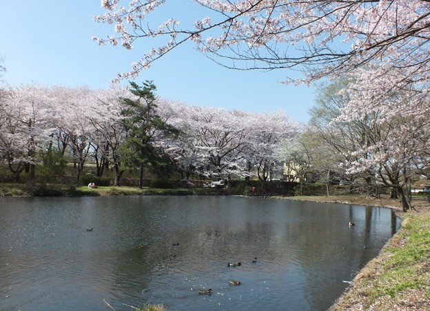 DSCF0166