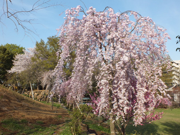 DSCF0283