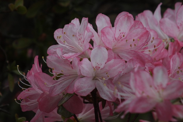DSCF0348
