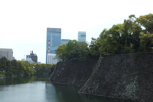 DSCF0006