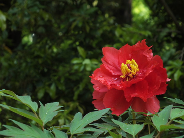 DSCF0072