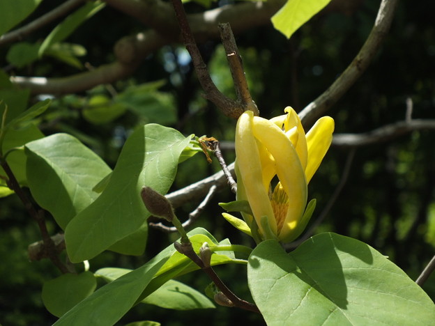DSCF0097