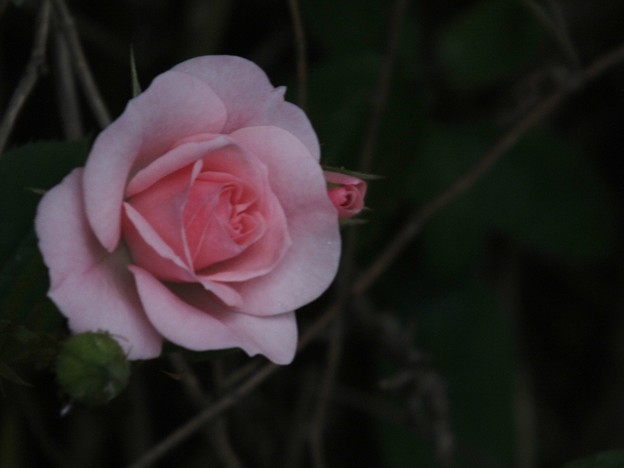 DSCF0580
