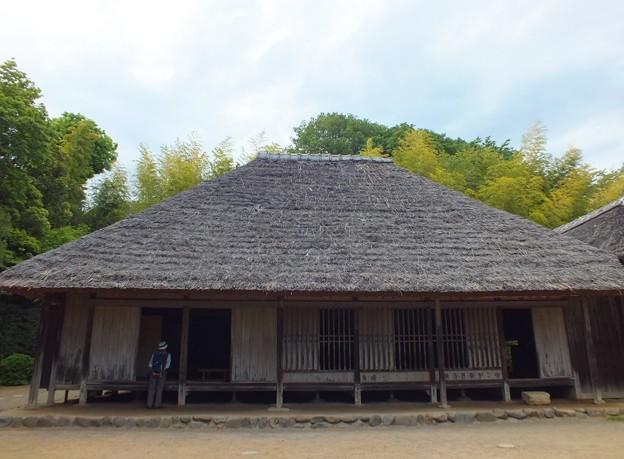DSCF0465