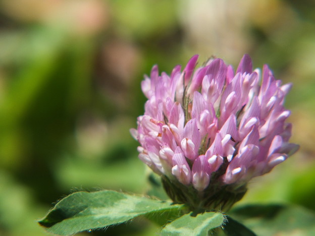 DSCF0677