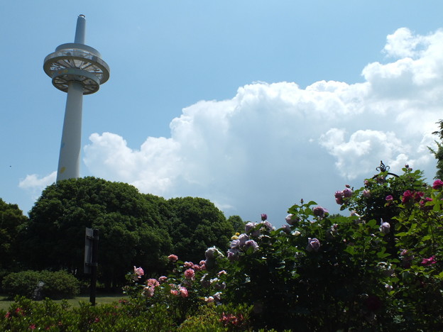 DSCF0400