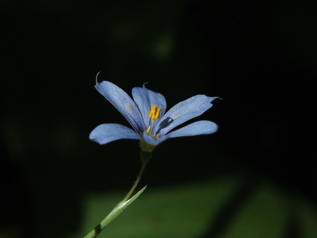 DSCF0008