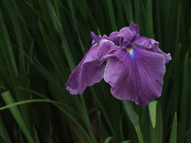 DSCF0342