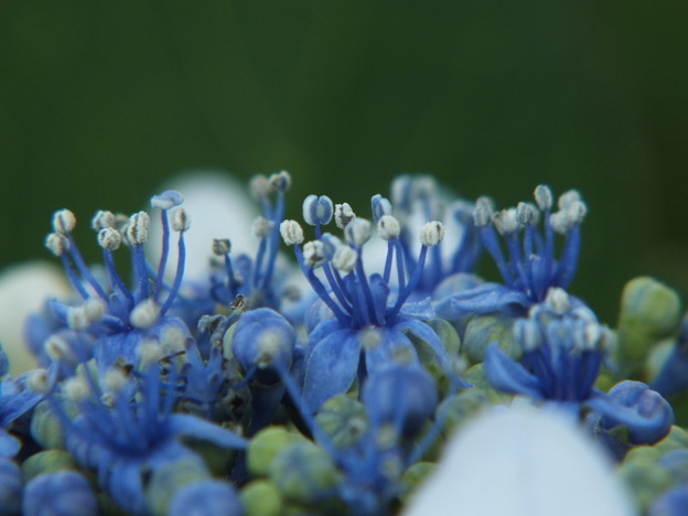 DSCF0058