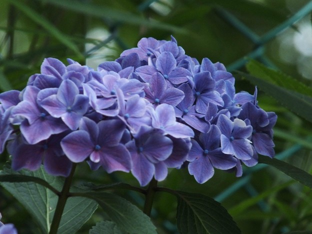 DSCF0332