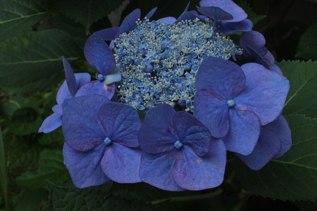 DSCF0023